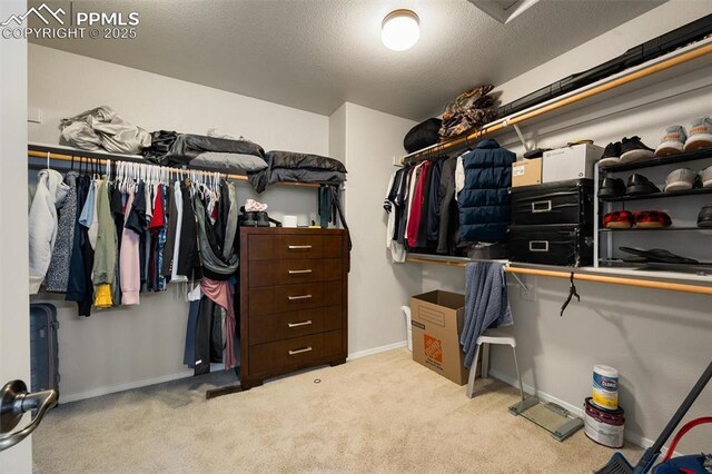 4454 College Park Ct, Colorado Springs, CO 80918 - spacious closet with carpet flooring