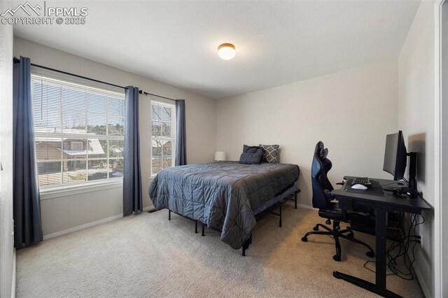4454 College Park Ct, Colorado Springs, CO 80918 - bedroom with baseboards and carpet