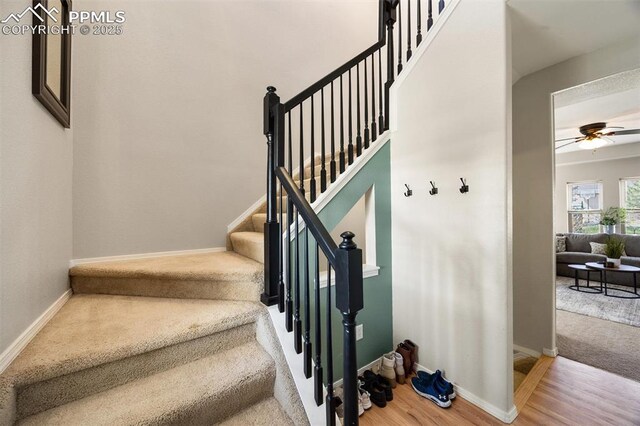 4454 College Park Ct, Colorado Springs, CO 80918 - stairway with baseboards, wood finished floors, ceiling fan, and carpet flooring