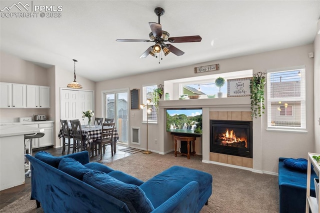 living area featuring a fireplace, a wealth of natural light, and baseboards