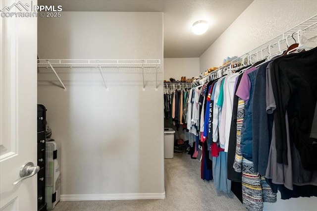13424 Stone Valley Dr, Peyton, CO 80831 - walk in closet with light carpet