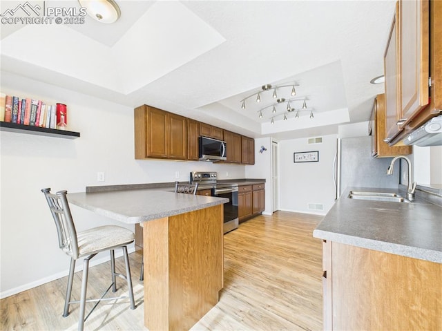kitchen featuring light wood-style flooring, a peninsula, stainless steel appliances, a sink, and a tray ceiling