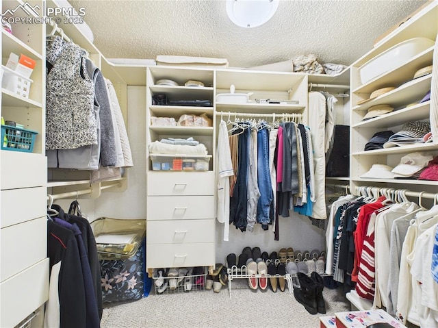 walk in closet with carpet floors