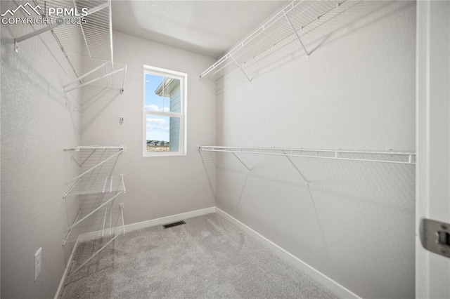 walk in closet featuring carpet floors and visible vents