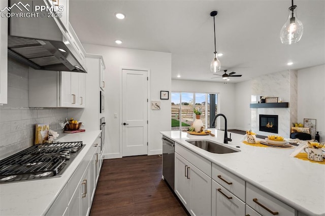 6678 Thimble Ct, Colorado Springs, CO 80924 - kitchen featuring a sink, under cabinet range hood, appliances with stainless steel finishes, a ceiling fan, and tasteful backsplash