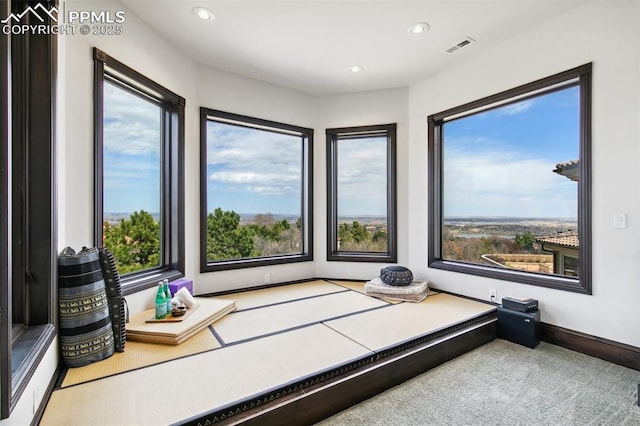 3870 S Club Dr, Colorado Springs, CO 80906 - workout area featuring recessed lighting, plenty of natural light, and visible vents