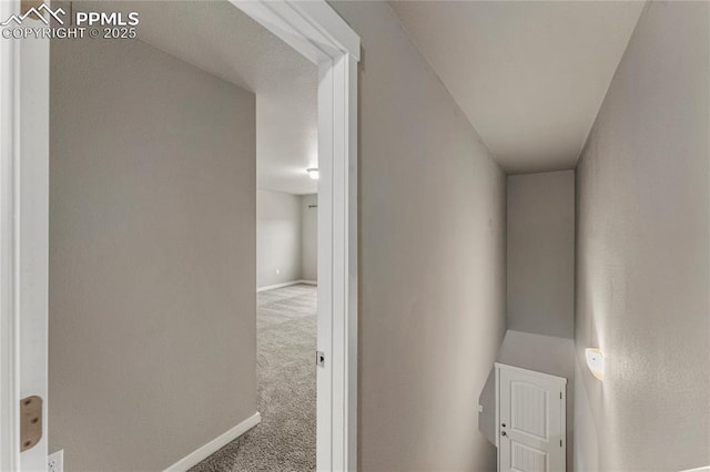 4691 Pleasant Port Vw, Colorado Springs, CO 80911 - corridor featuring baseboards and carpet floors