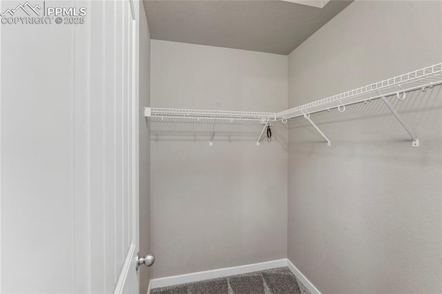 4691 Pleasant Port Vw, Colorado Springs, CO 80911 - spacious closet with carpet flooring