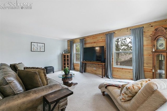 carpeted living room with wood walls and a healthy amount of sunlight
