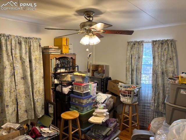 interior space featuring a ceiling fan and crown molding