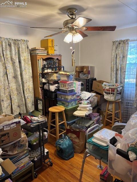 storage with a ceiling fan