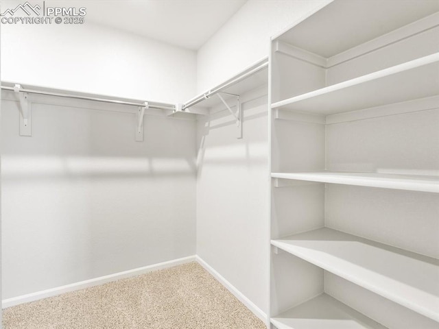 spacious closet with carpet floors