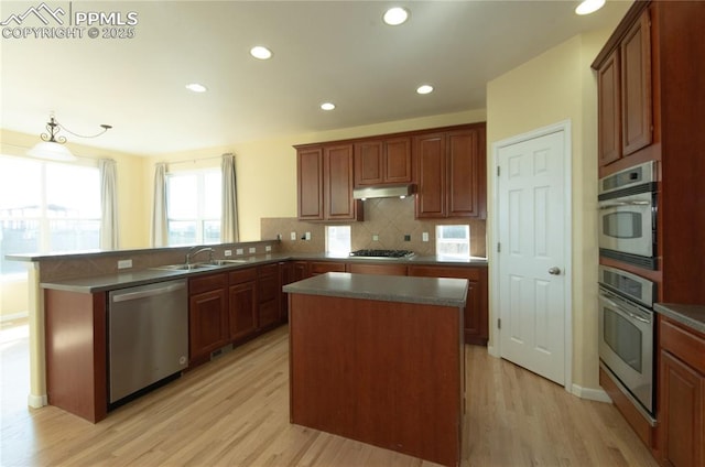 9443 St George Rd, Peyton, CO 80831 - kitchen featuring appliances with stainless steel finishes, light wood-style flooring, under cabinet range hood, decorative backsplash, and a sink