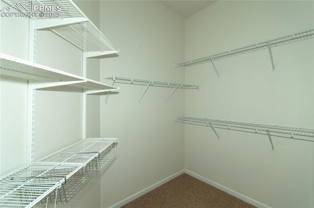 9443 St George Rd, Peyton, CO 80831 - spacious closet featuring carpet flooring