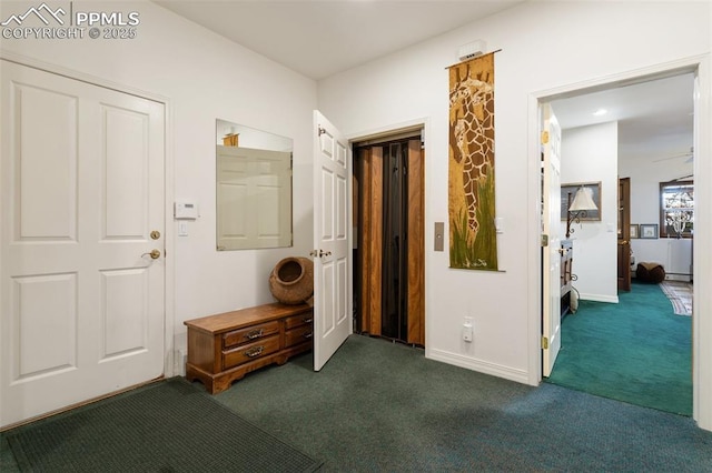 714 Southern Cross Pl, Colorado Springs, CO 80906 - hallway featuring dark carpet and baseboards