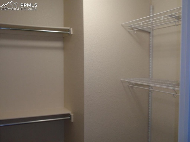 2112 Denton Grv Unit 101, Colorado Springs, CO 80919 - view of spacious closet
