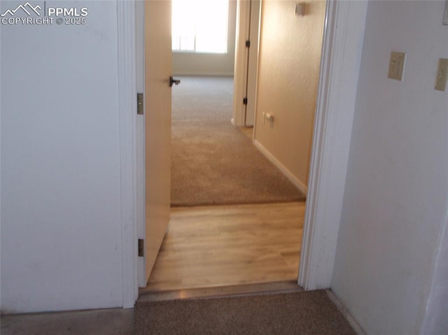 2112 Denton Grv Unit 101, Colorado Springs, CO 80919 - hall featuring carpet