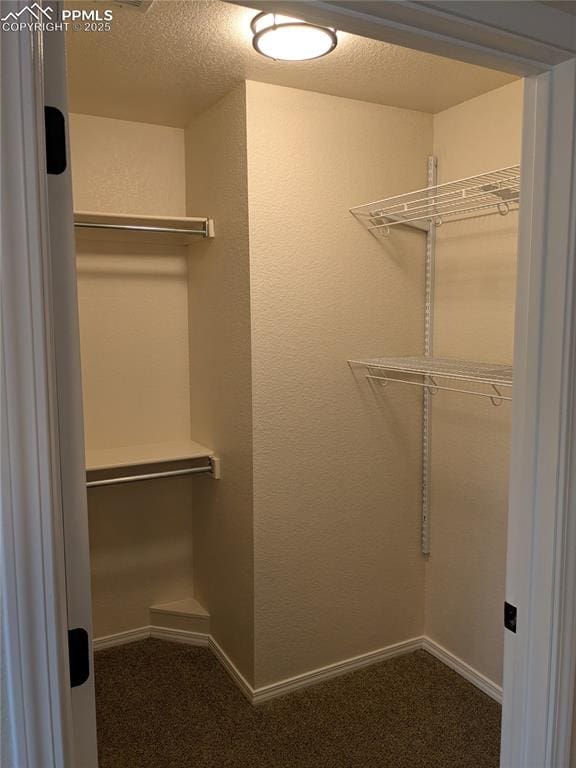 2112 Denton Grv Unit 101, Colorado Springs, CO 80919 - spacious closet featuring dark colored carpet