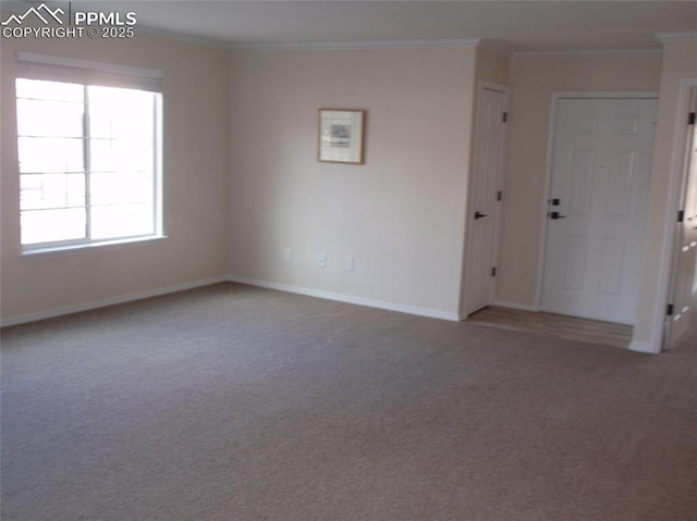 2112 Denton Grv Unit 101, Colorado Springs, CO 80919 - carpeted spare room featuring crown molding and baseboards
