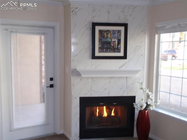 2112 Denton Grv Unit 101, Colorado Springs, CO 80919 - room details with crown molding and a fireplace