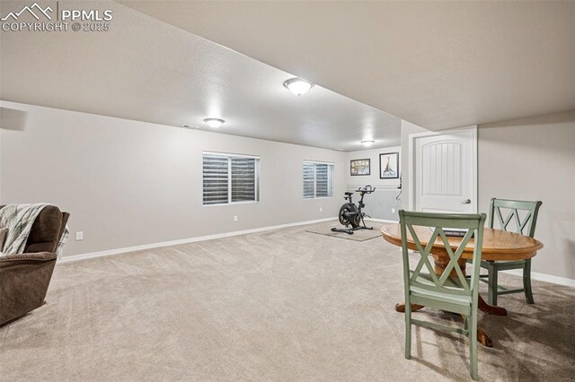 dining space featuring baseboards and carpet flooring