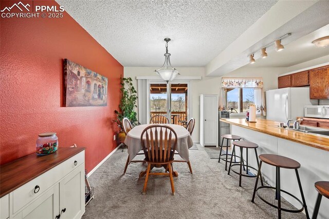 dining room with a textured wall, baseboards, light colored carpet, and a textured ceiling