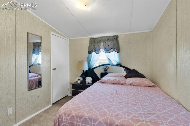 2801 Lime Rd, Pueblo, CO 81006 - carpeted bedroom featuring crown molding and vaulted ceiling