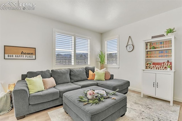 15833 Little Bluestem Rd, Monument, CO 80132 - living area with baseboards and light wood-style floors