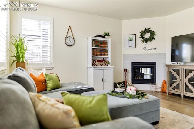 15833 Little Bluestem Rd, Monument, CO 80132 - living room featuring wood finished floors and a glass covered fireplace