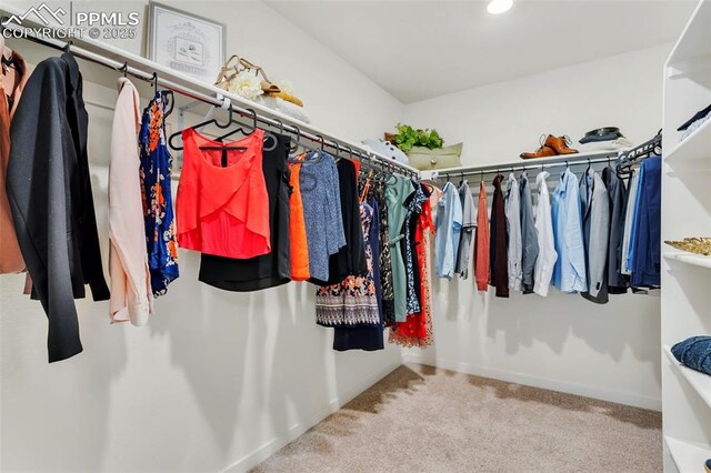 15833 Little Bluestem Rd, Monument, CO 80132 - walk in closet with carpet floors
