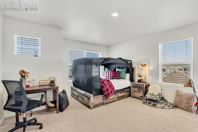 15833 Little Bluestem Rd, Monument, CO 80132 - carpeted bedroom featuring a textured ceiling and baseboards