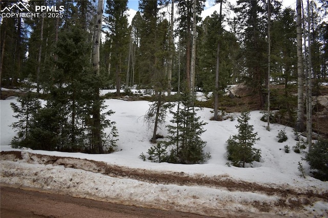 66 Silver Trl, Florissant, CO 80816
