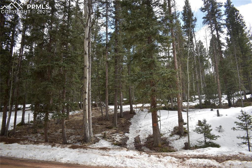 66 Silver Trl, Florissant, CO 80816
