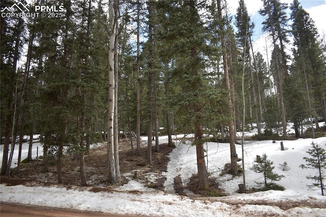 66 Silver Trl, Florissant, CO 80816