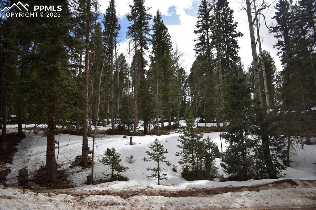 66 Silver Trl, Florissant, CO 80816