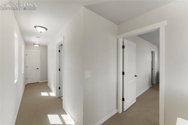5894 Spring Breeze Dr, Colorado Springs, CO 80923 - corridor featuring light colored carpet and baseboards