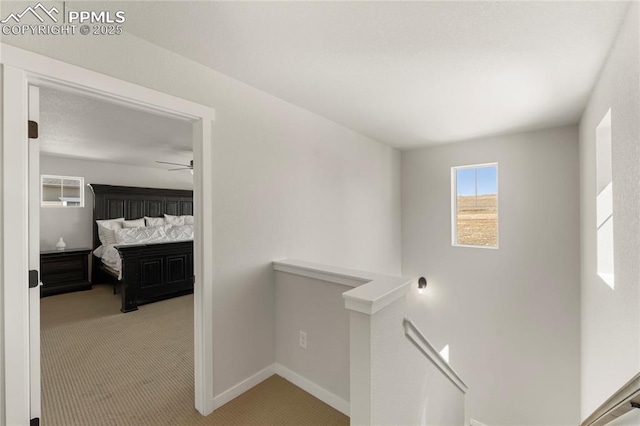 5894 Spring Breeze Dr, Colorado Springs, CO 80923 - hallway featuring carpet floors, baseboards, and an upstairs landing