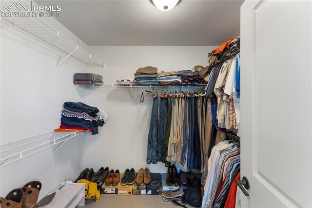 5894 Spring Breeze Dr, Colorado Springs, CO 80923 - view of spacious closet