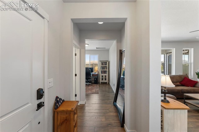 5894 Spring Breeze Dr, Colorado Springs, CO 80923 - hallway with baseboards and dark wood finished floors