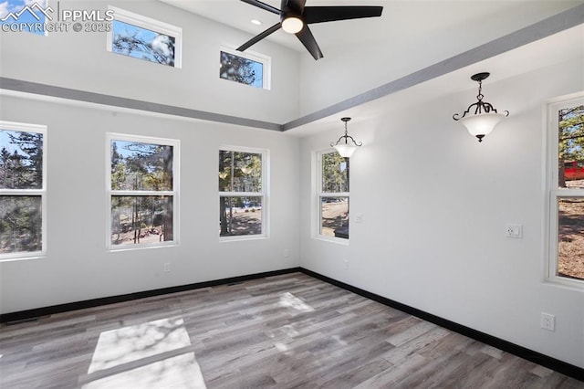 empty room with plenty of natural light, a ceiling fan, a towering ceiling, and wood finished floors