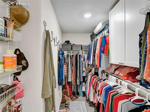 view of walk in closet