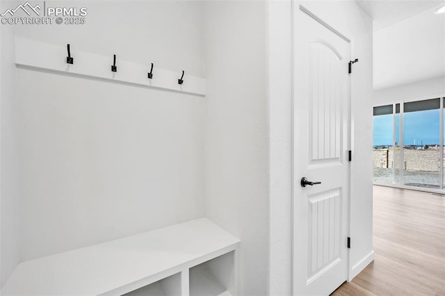 8532 Noreen Falls Dr, Colorado Springs, CO 80924 - mudroom featuring light wood finished floors