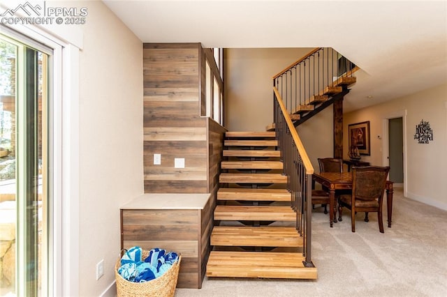 18383 Lazy Summer Way, Monument, CO 80132 - stairway with carpet flooring and baseboards