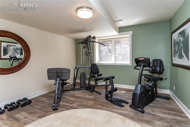 18383 Lazy Summer Way, Monument, CO 80132 - workout room with wood finished floors and baseboards