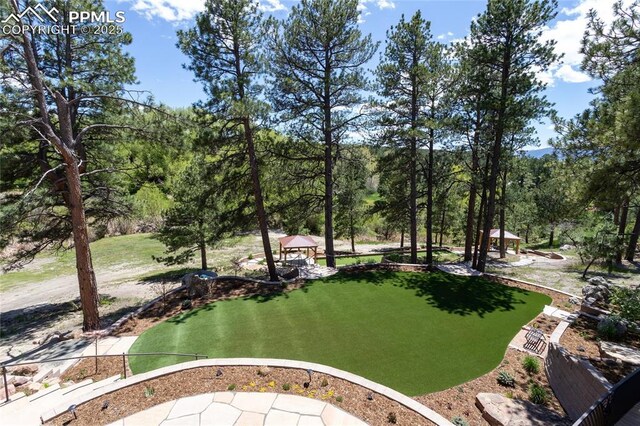 18383 Lazy Summer Way, Monument, CO 80132 - view of yard