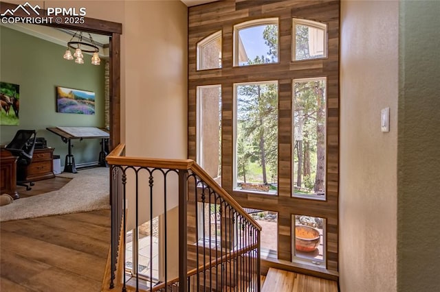18383 Lazy Summer Way, Monument, CO 80132 - entryway featuring wood finished floors, wooden walls, a textured wall, and a high ceiling