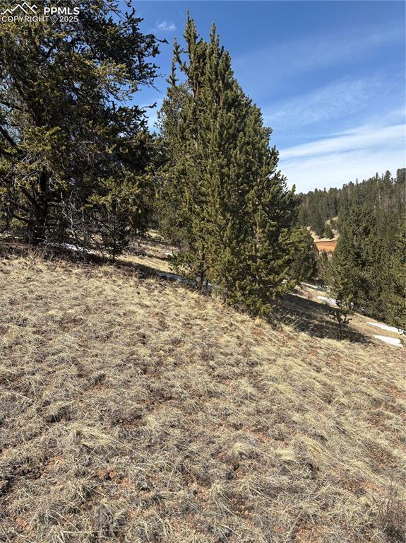 70 Brown Bear Ln, Cripple Creek, CO 80813