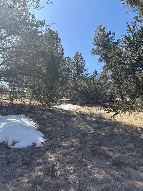 70 Brown Bear Ln, Cripple Creek, CO 80813