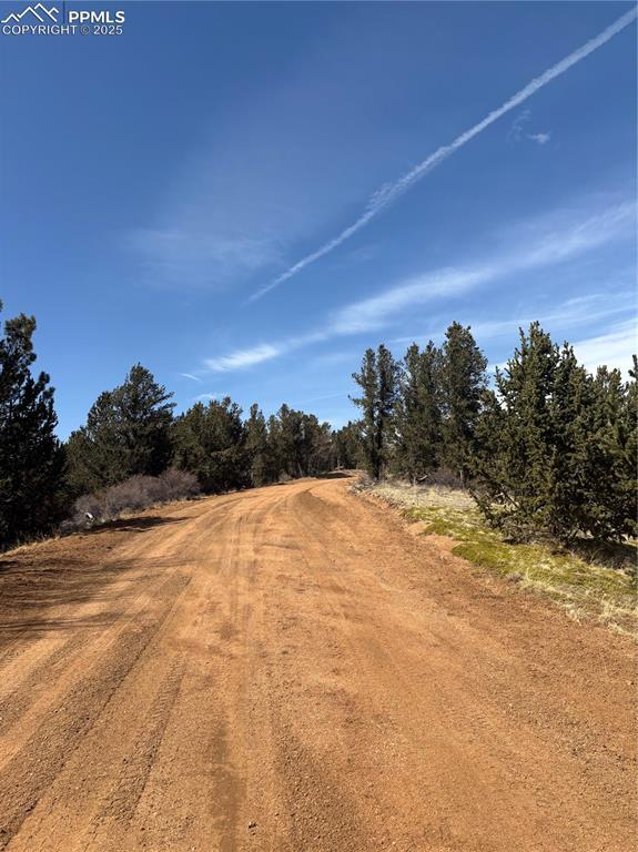 70 Brown Bear Ln, Cripple Creek, CO 80813