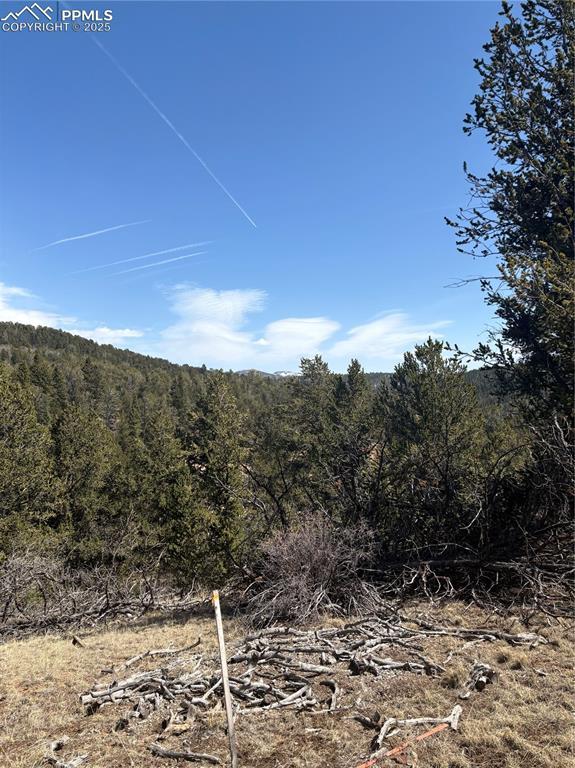 70 Brown Bear Ln, Cripple Creek, CO 80813